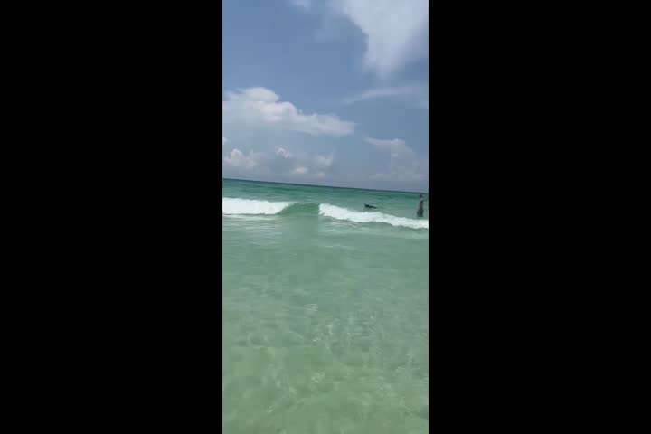 new video