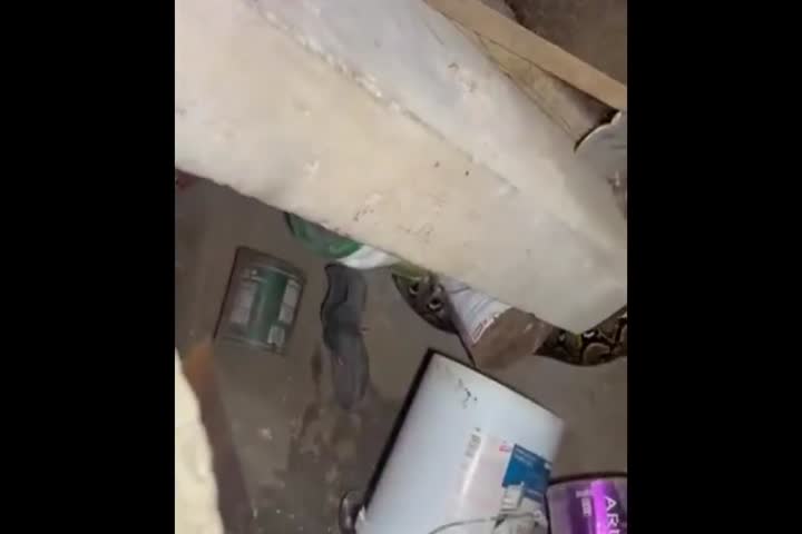 new video